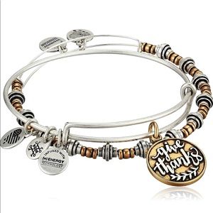 Alex and Ani Bangles Pair of 2